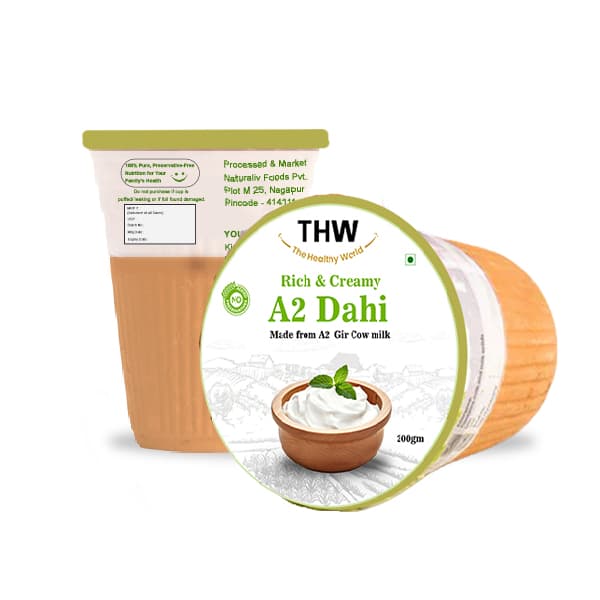 A2 Kulhad Dahi
