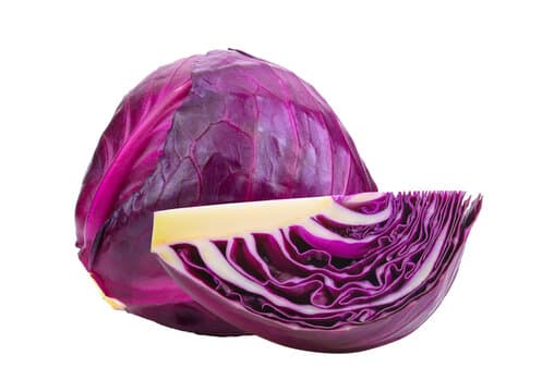 Purple Cabbage